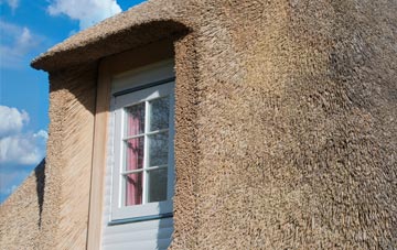Carnkief thatch roof disadvantages
